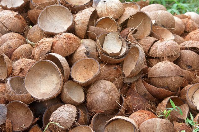 Arang Tempurung Kelapa Premium